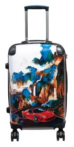 the Artistic Carry-on Luggage