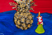 Into Fruitful Light  /  Pineapple for Bull Market