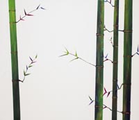 心滿意竹／廣結善緣