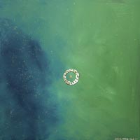 The Myriad Sublimity / The Mind in Oneness