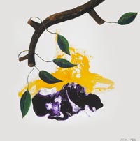 氣／風生氣湧
