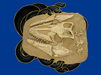 掌握乾坤／施无畏